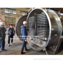 Batch type Freeze Drying Plant